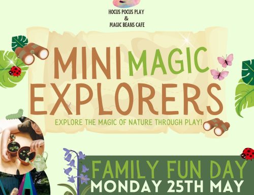 Mini Magic Explorers